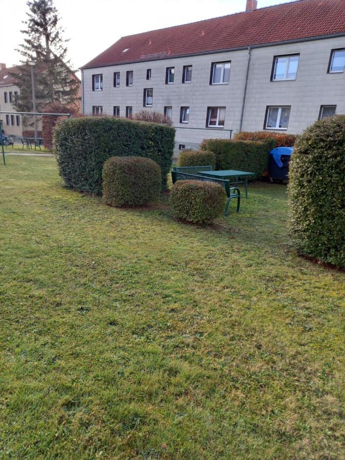 Pine Crest Ferienwohnung Harzgerode Extérieur photo